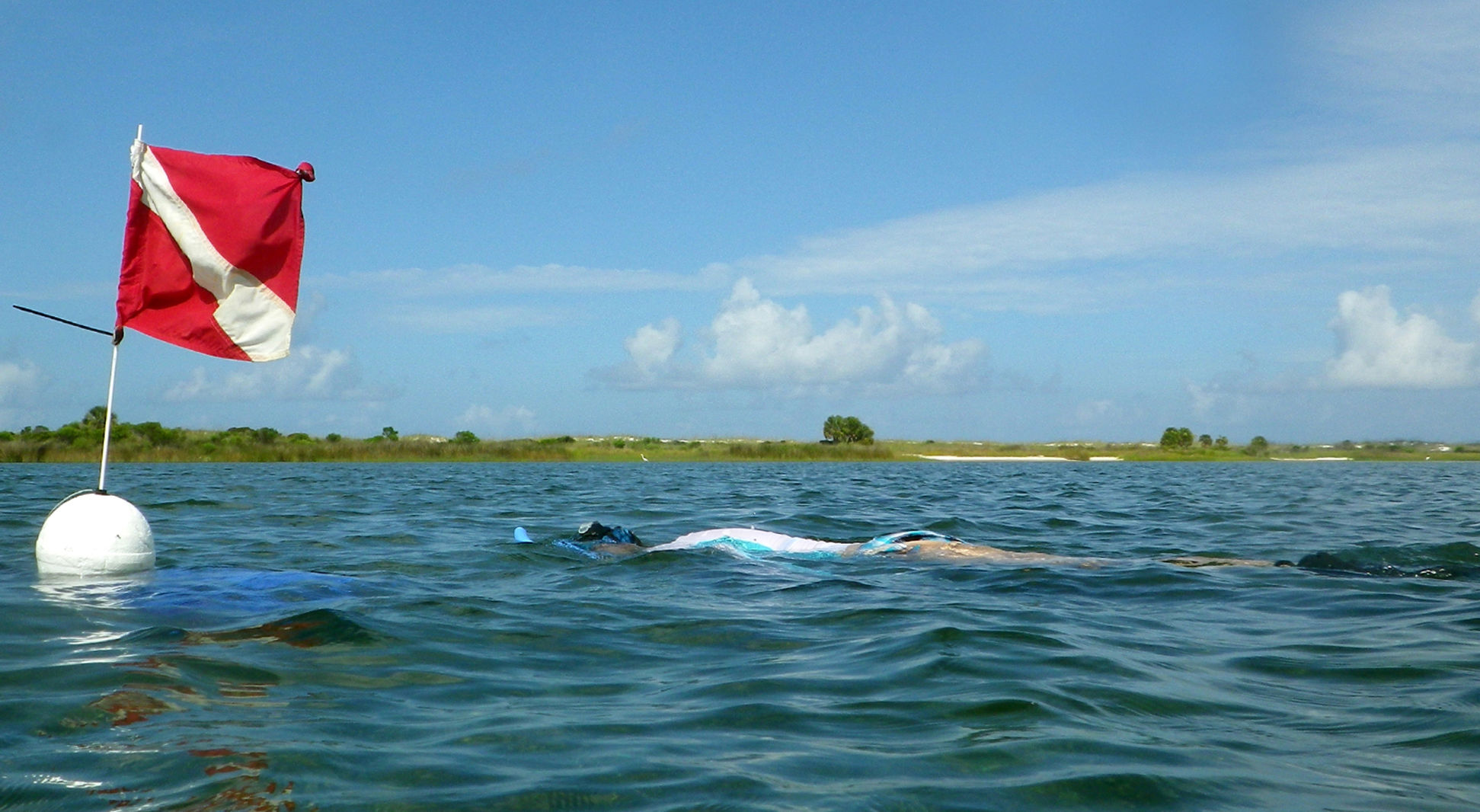 FWC Scallop Snorkeler